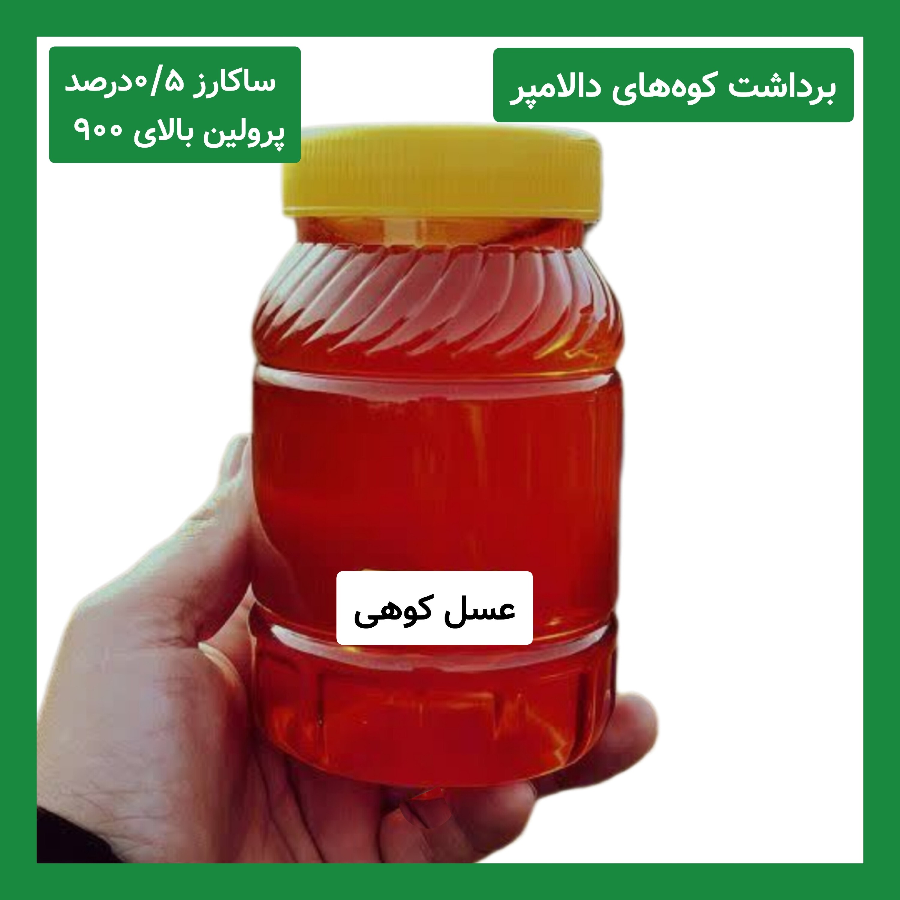 عسل کوهی برداشت کوه های دالامپر کیفیت ممتاز