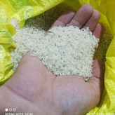 برنج چمپا درجه1 (ارسال رایگان تا انبار یا پست با تخفیف)