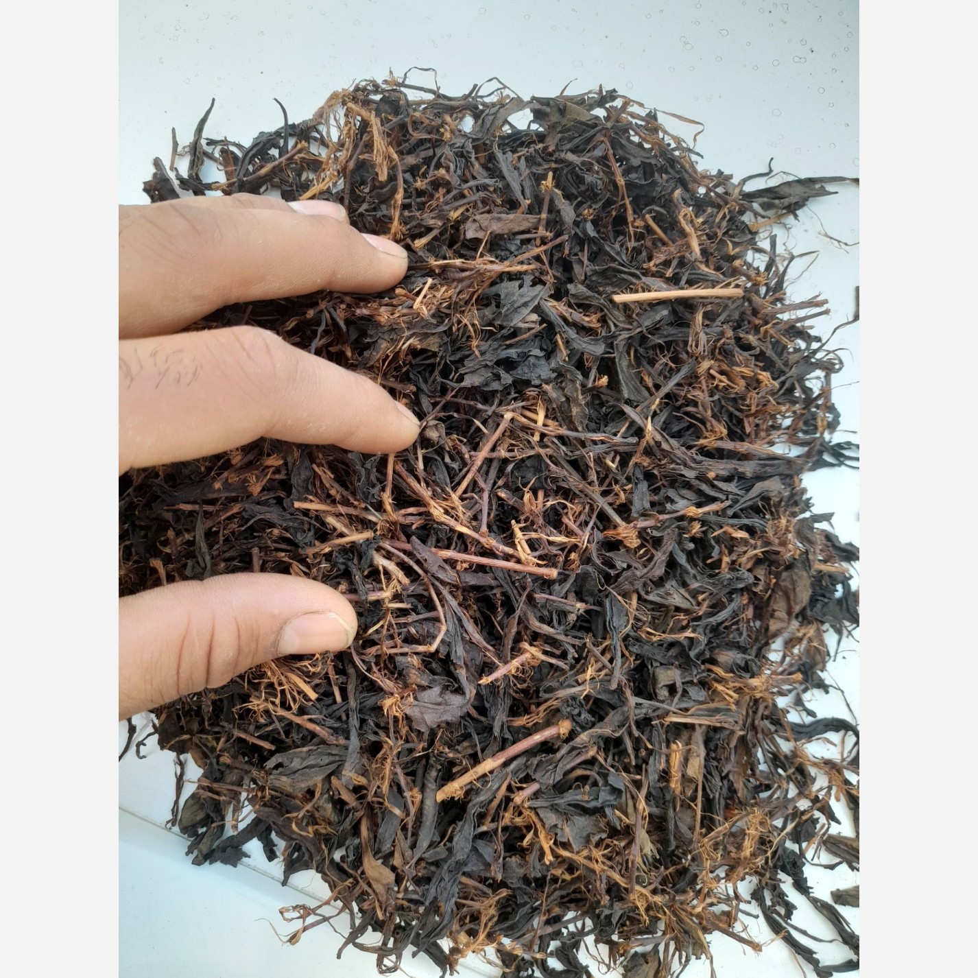چای  ساقه  چوب چای  1405 اقتصادی 5 کیلویی ارسال رایگان