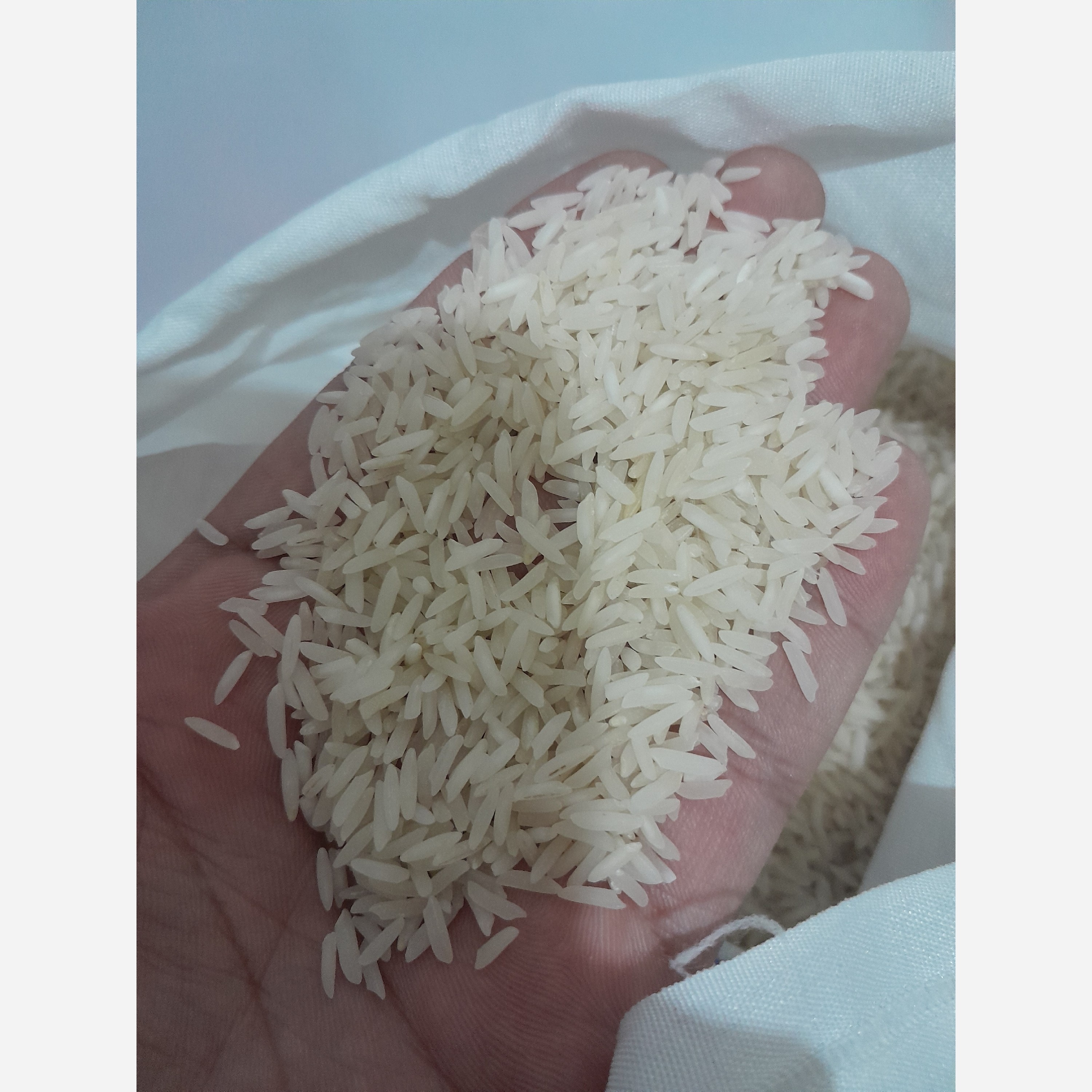 برنج ایرانی طارم گرگان خوشپخت واقتصادی