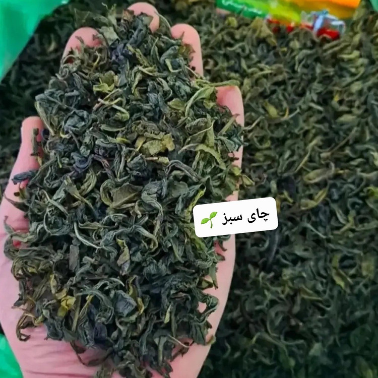 چای سبز بهاره لاهیجان بسیار خوش رنگ و با طعم عالی 1405(500 گرمی )