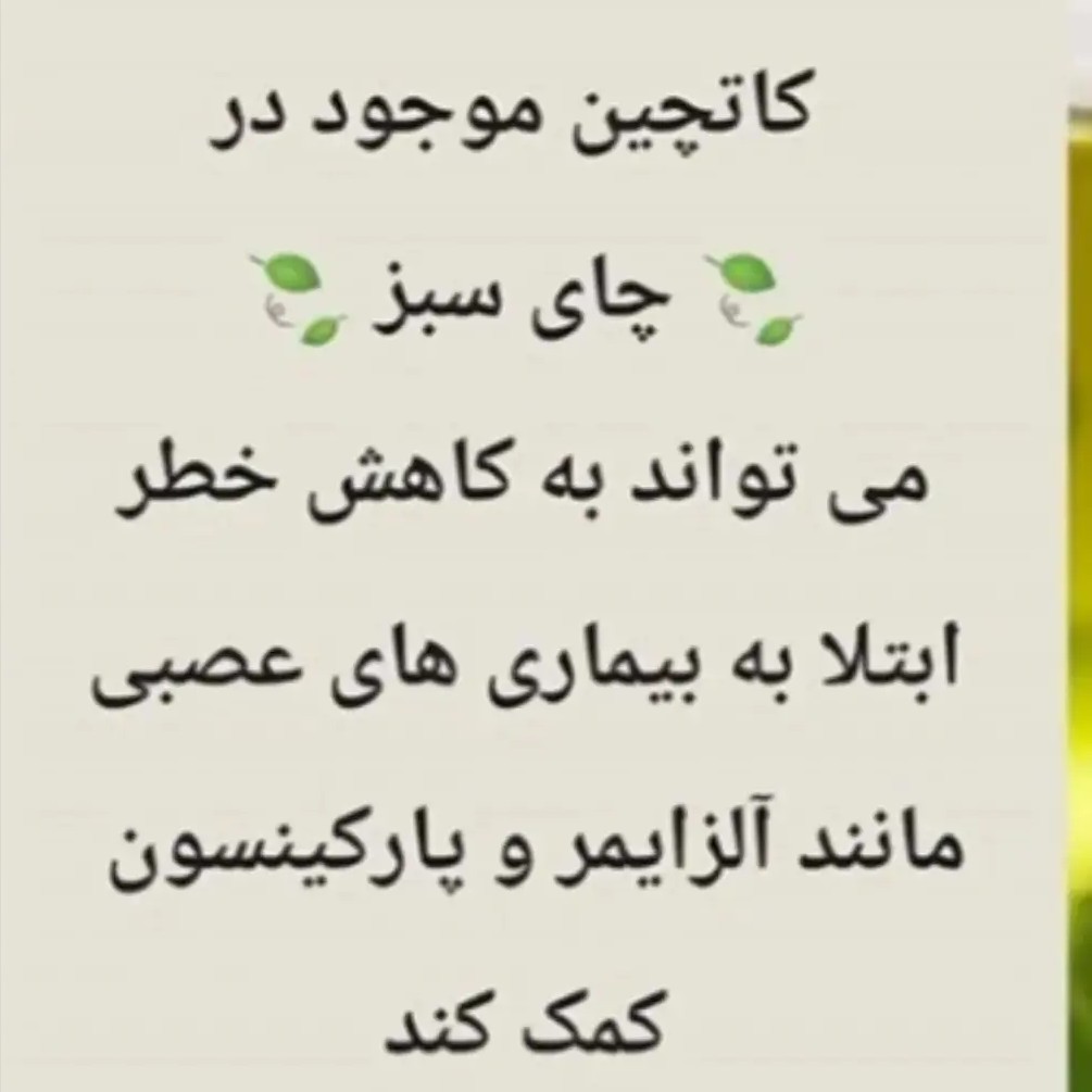 چای سبز بهاره لاهیجان بسیار خوش رنگ و با طعم عالی 1405(500 گرمی )