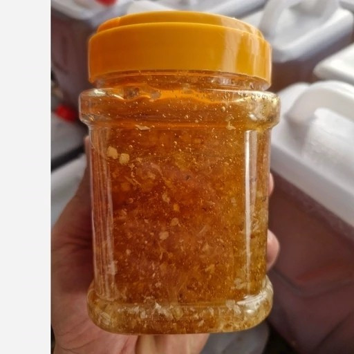 عسل طبیعی شهد وحشی کوهی صخره ای درمانی اصل نیم کیلویی(بهترین عسل ما،کف قیمتی)(خریدمستقیم و بدون واسطه)ارسال رایگان با2م