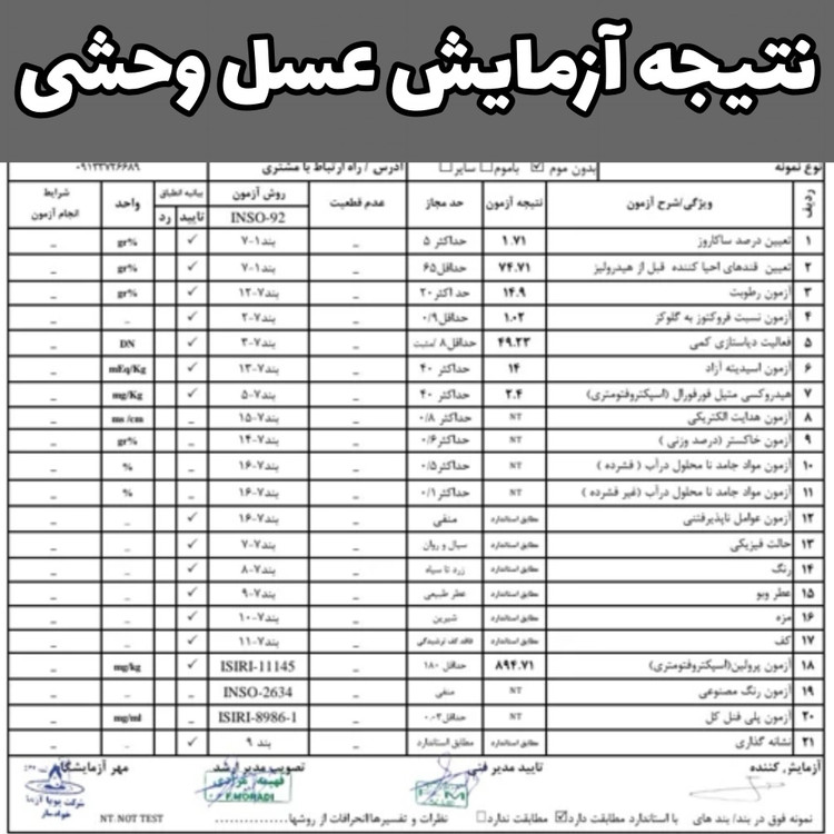 عسل طبیعی شهد وحشی کوهی صخره ای درمانی اصل نیم کیلویی(بهترین عسل ما،کف قیمتی)(خریدمستقیم و بدون واسطه)ارسال رایگان با2م