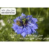 عسل طبیعی سیاهدانه خام 1 کیلویی سبلان(مستقیم از زنبوردار)