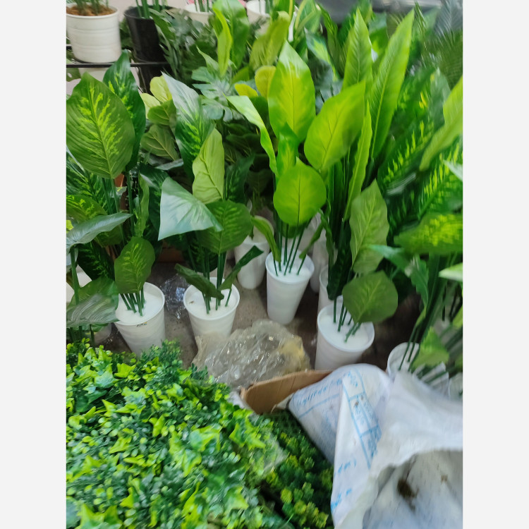 درختچه دیفن باخیادو رنگ مصنوعی 120 سانتی(قابل شستشو )کیفیت تضمینی (عدم تغیر رنگ)