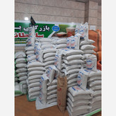 برنج طارم محلی گیلان