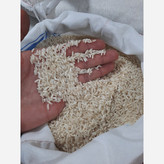 برنج طارم محلی گیلان