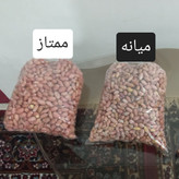 بادام زمینی ممتاز آستانه اشرفیه نوبرانه سال 1405