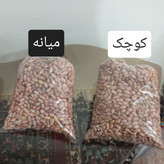 بادام زمینی ممتاز آستانه اشرفیه نوبرانه سال 1405