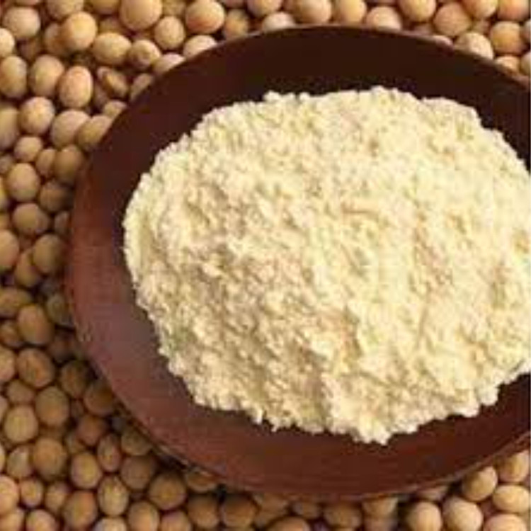 ایزوله سویا پودر 100 گرمی غیر تراریخته برند یوکسین