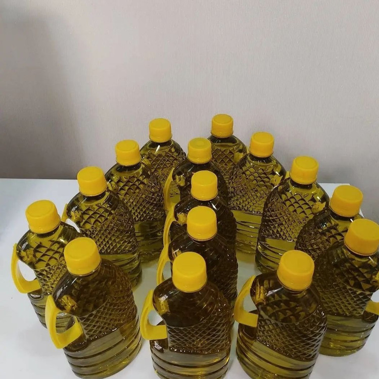 روغن زیتون خالص 5 لیتری (بدون بو) تازه امساله از تولید به مصرف مستقیم از باغدار
