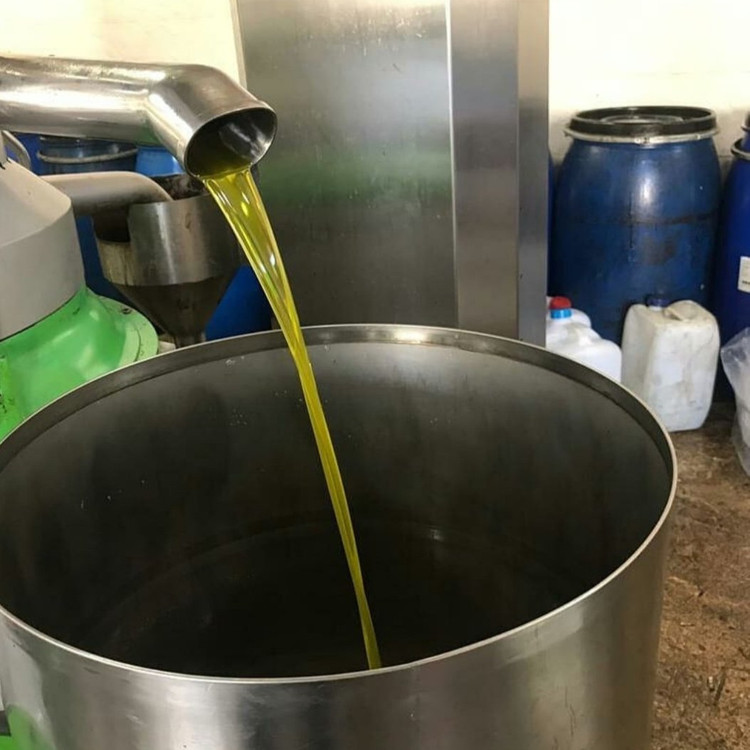 روغن زیتون خالص 5 لیتری (بدون بو) تازه امساله از تولید به مصرف مستقیم از باغدار