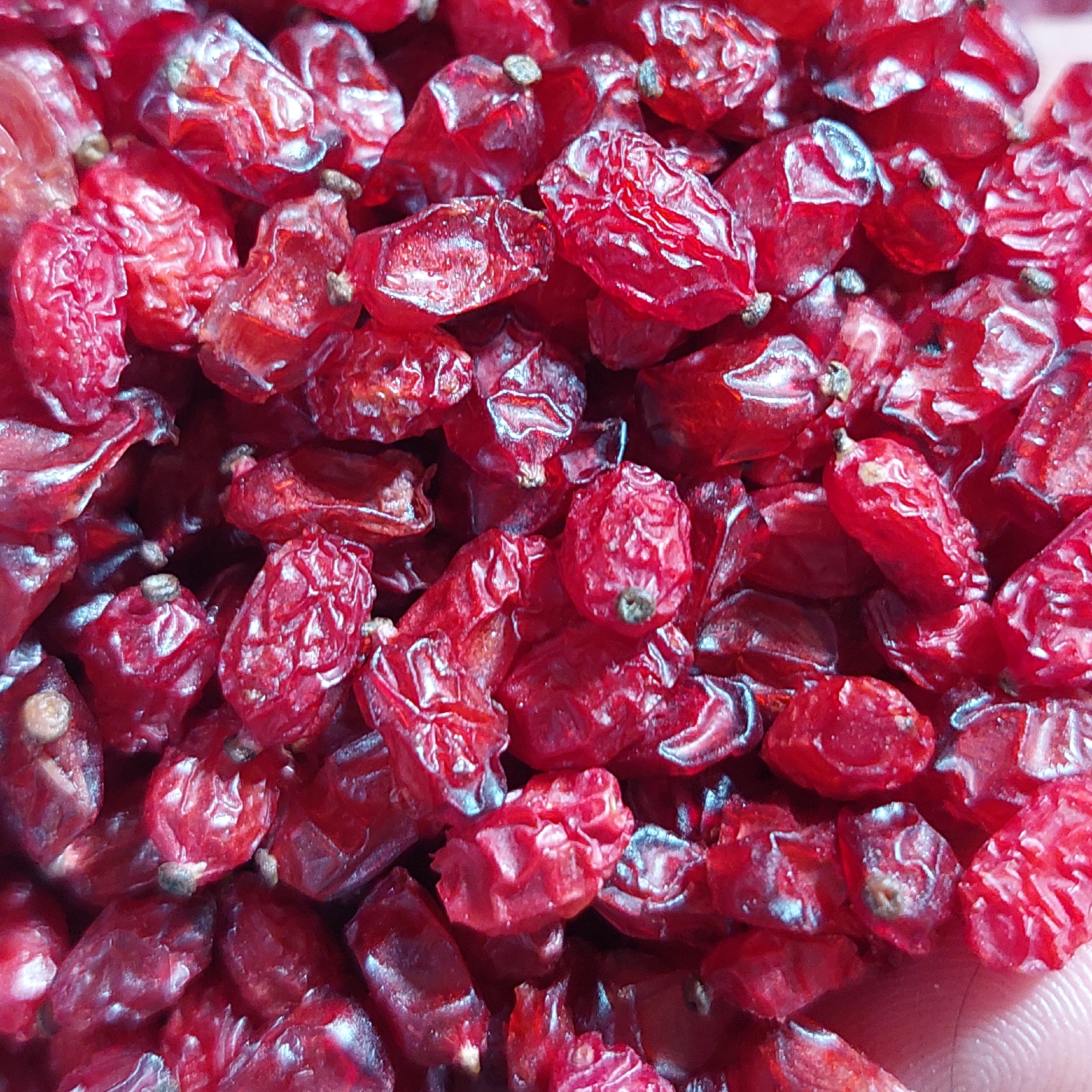زرشک پفکی 250 گرمی اعلا امسالی مشرق زمین