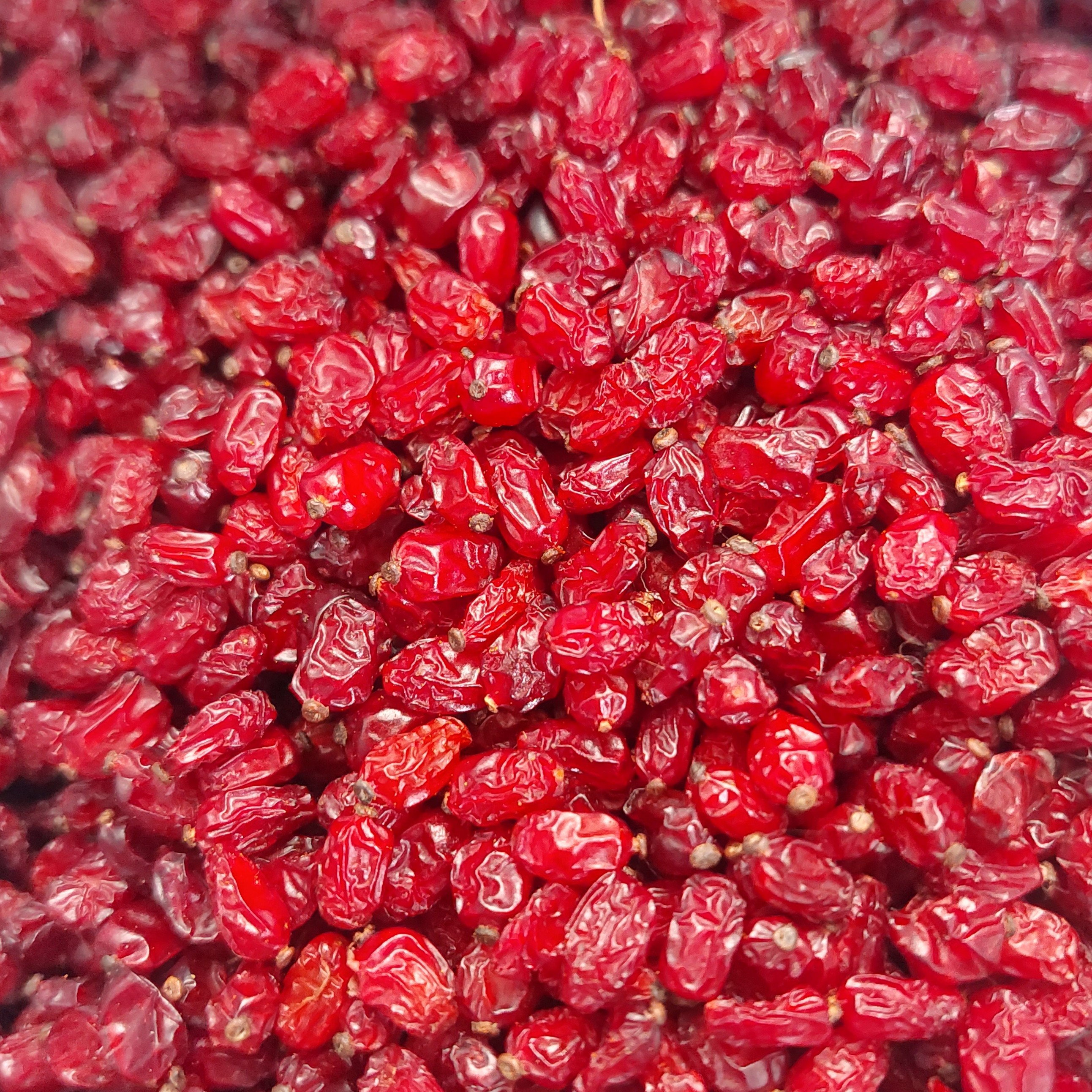 زرشک اناری نیم کیلویی خوش رنگ اعلا امسالی مشرق زمین