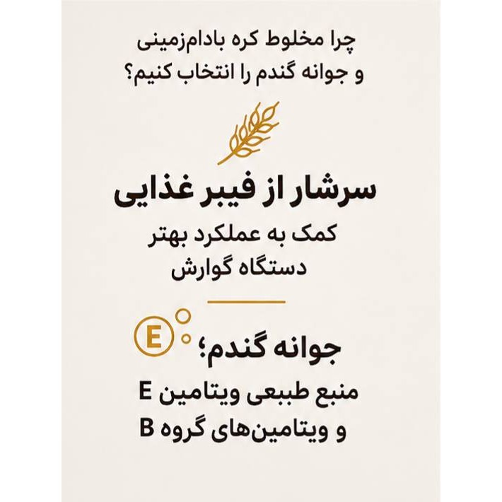کره پرو پروتئین بادام زمینی و جوانه گندم (350گرم)