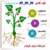 کود سه بیست 20-20-20 (بسته 40 گرمی) با ریز مغذی
