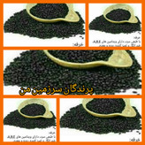 تخم خرفه 130گرمی درجه یک