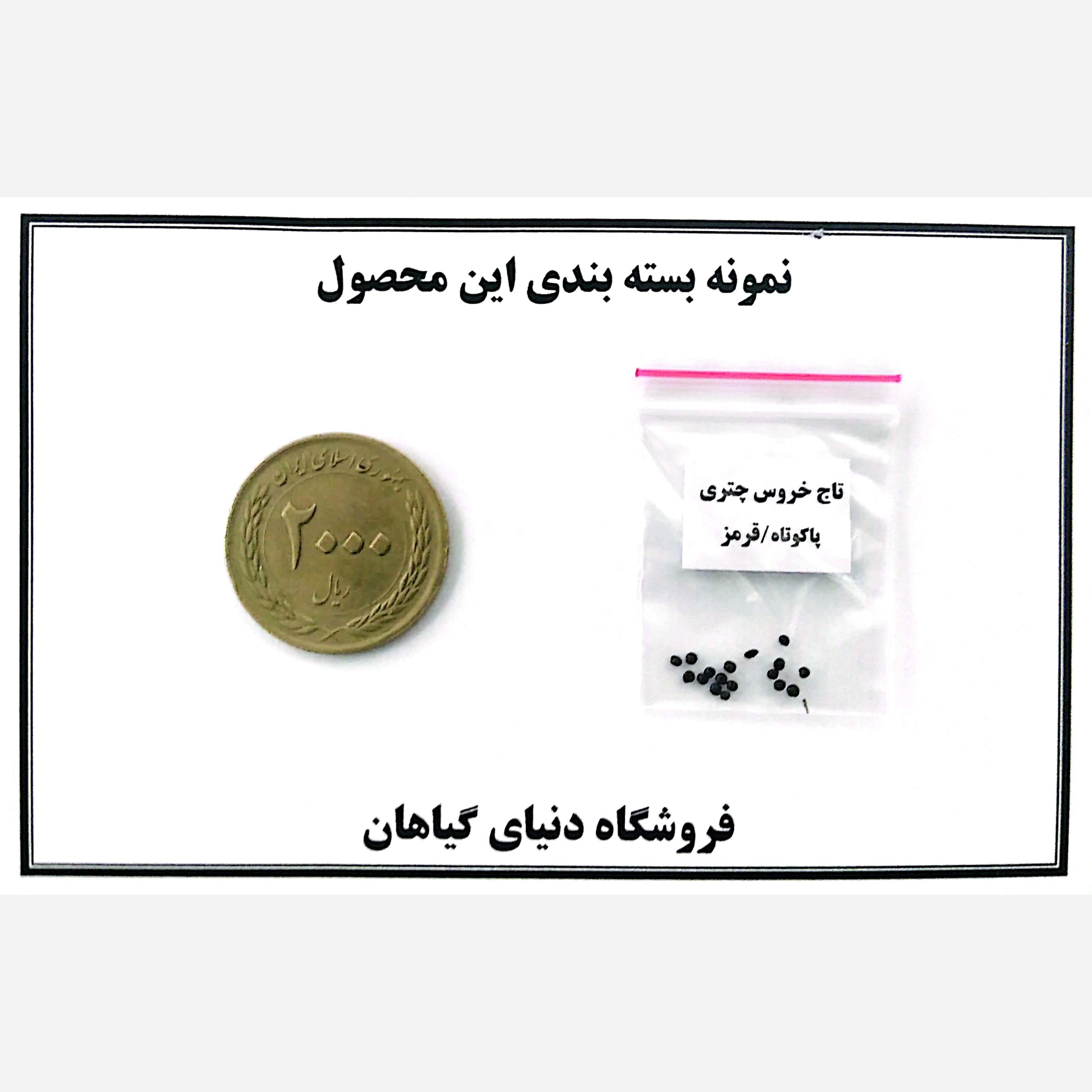 بذر تاج خروس چتری(کد6) قرمز(10 عددی)