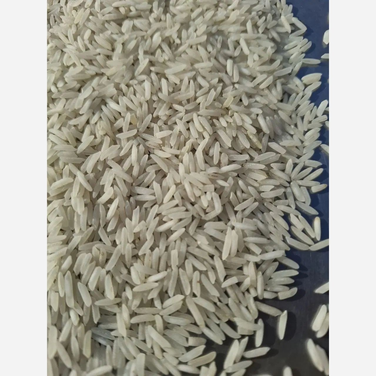 برنج پاکستانی سوپرباسماتی عالی باارسال رایگان (10کیلوگرم)