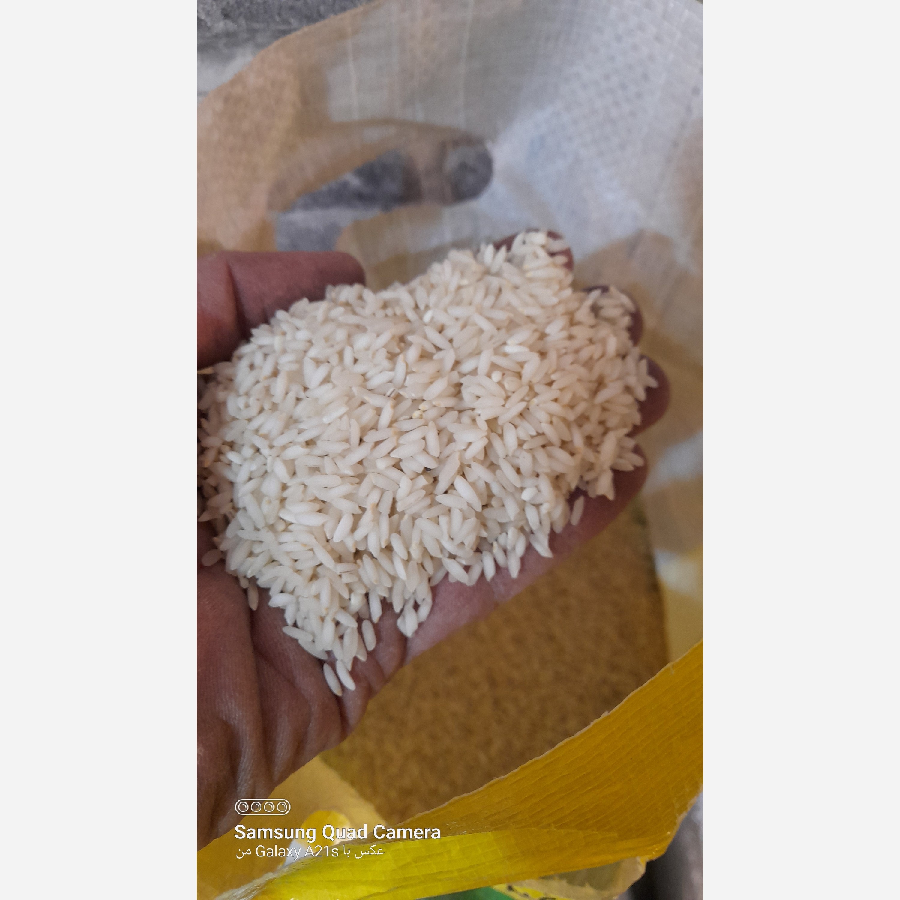 برنج عنبربو عزیزان(ارسال رایگان 2 کیسه ب بالا)