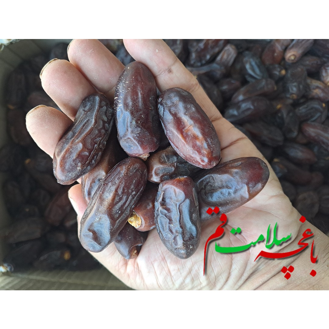 خرما ربی پیارم بلوچستان اعلا تازه 3کیلویی
