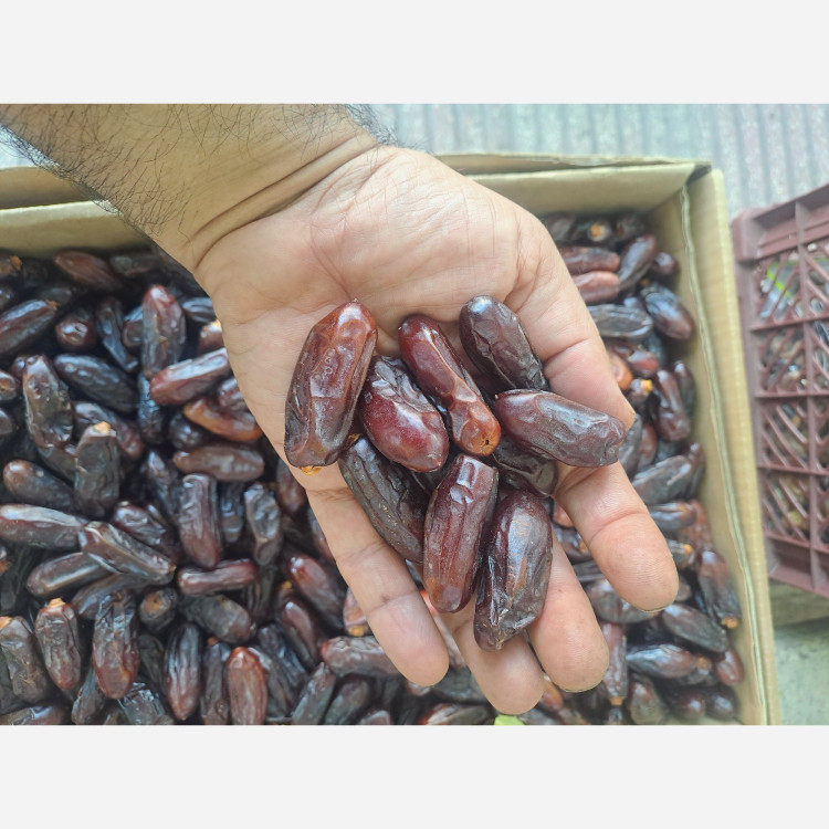 خرما ربی پیارم بلوچستان اعلا تازه 3کیلویی
